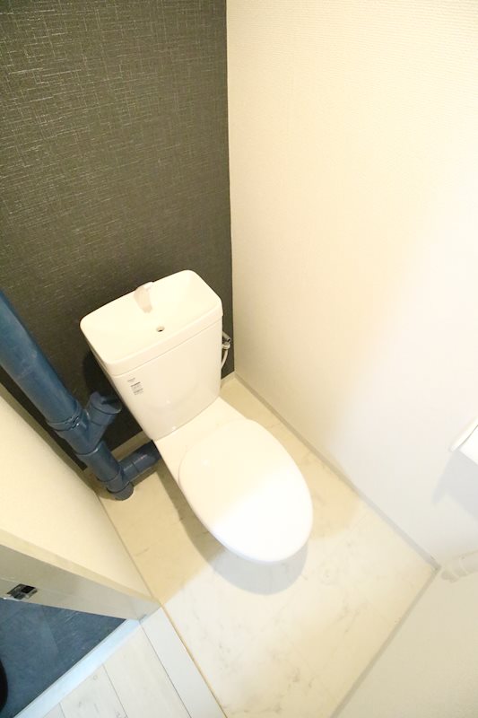 シャトー星が丘のトイレ写真