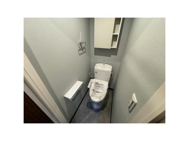 ザ・シンフォニア新栄のトイレ写真