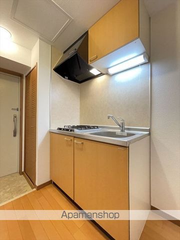 スカイコート本郷東大前第3のキッチン写真