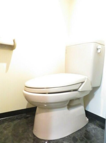 グランド・ガーラ南麻布のトイレ写真