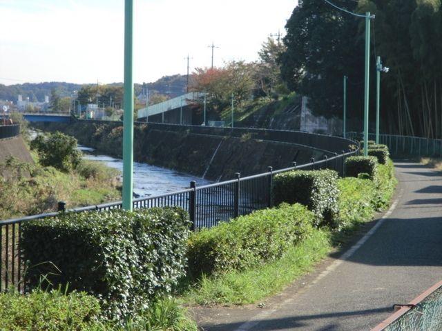 その他　小川（その他）まで50m