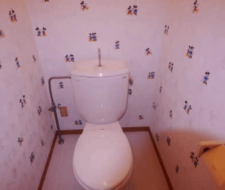 グリーンヒルズ92 A棟のトイレ写真
