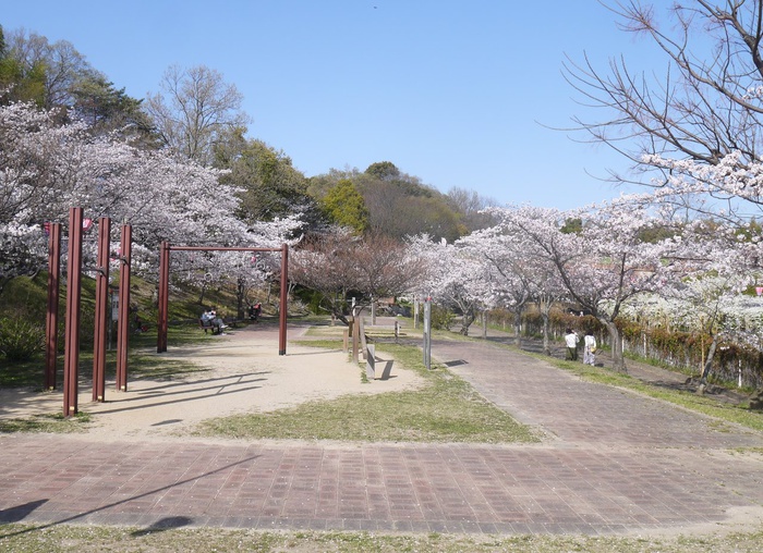公園　寝屋川公園（公園）まで900m