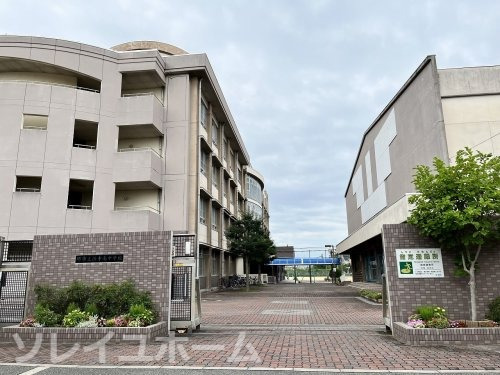 【堺市西区浜寺南町のマンションの中学校】