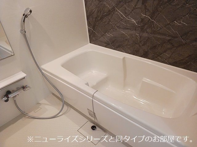 【壬生町大師町アパート（０２７９４９２０１）のバス・シャワールーム】