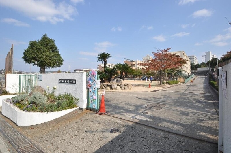 小学校　神戸市立本多聞小学校（小学校）まで995m