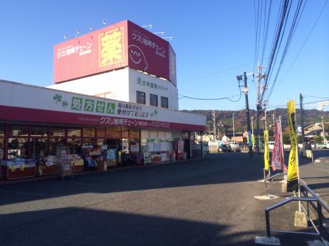 ドラックストア　クスリ岩崎チェーン新地店（ドラッグストア）まで670m