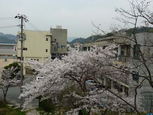 中学校　周南市立福川中学校（中学校）まで1394m