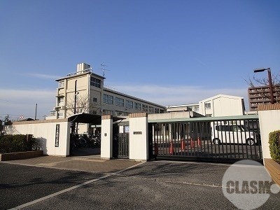 小学校　堺市立英彰小学校（小学校）まで501m