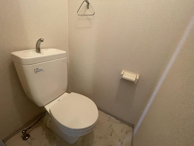 トイレ　収納棚もあるトイレです