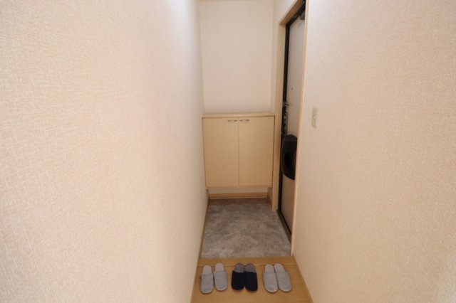 玄関　※同タイプの部屋写真です