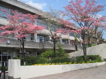 中学校　松戸市立根木内中学校（中学校）まで569m