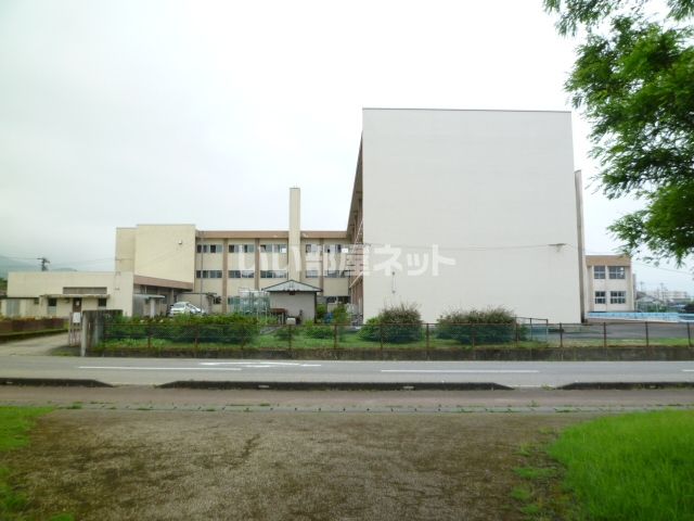 小学校　南砺市立井波小学校（小学校）まで608m