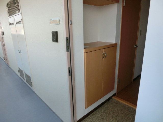 玄関　※同じ物件の他のお部屋の写真です※