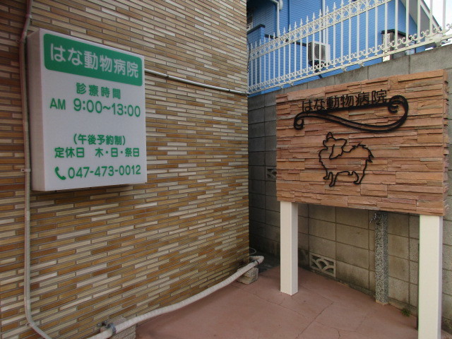 病院　はな動物病院（病院）まで864m