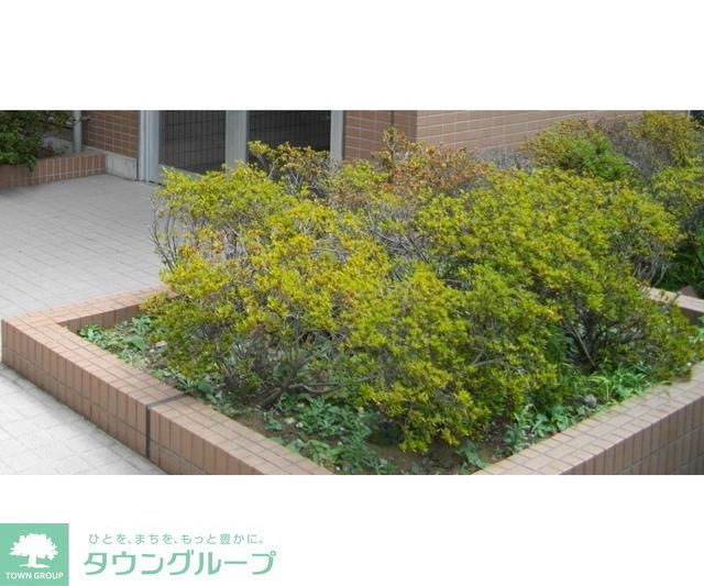 庭