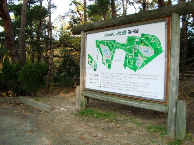 その他　じゅんさい池公園まで1 012ｍ