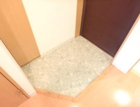 玄関　（別タイプ参考写真）フェリシア文京　文京区千石1