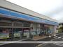 コンビニ　ローソン宮崎吉村町平塚店（コンビニ）まで250m