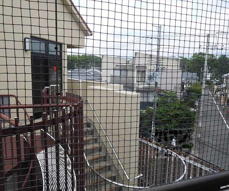 眺望　眺望