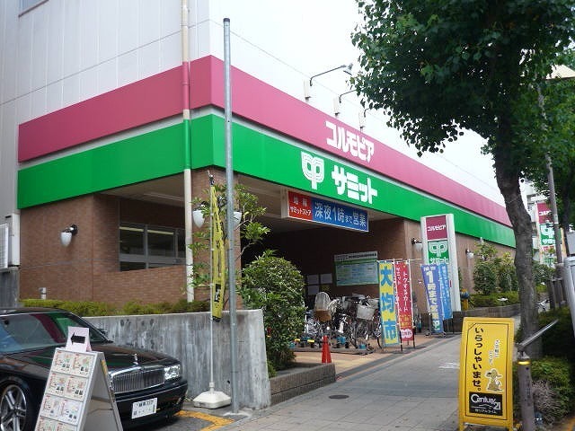 スーパー　サミット（スーパー）まで250m