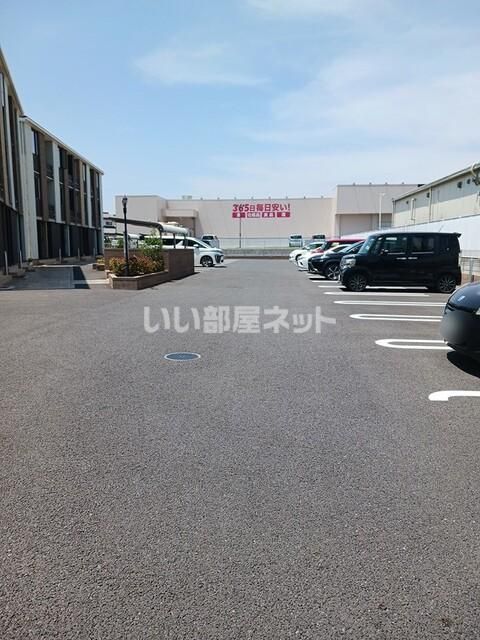 フェリシア ブルーのその他写真