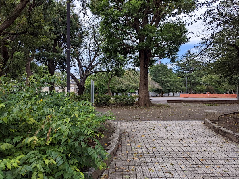 公園　板橋区平和公園（公園）まで172m