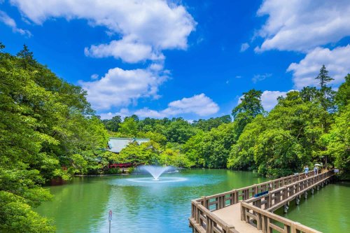 公園　都立井の頭公園（公園）まで2141m