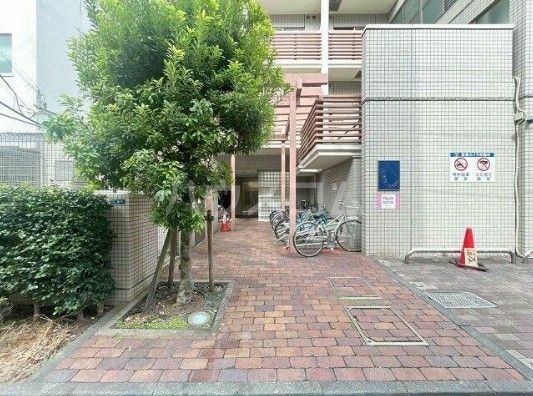 庭