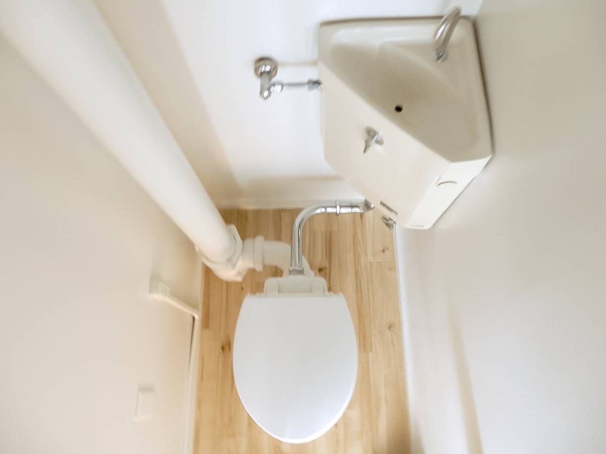 ビレッジハウス 羽後 / 2号のトイレ写真