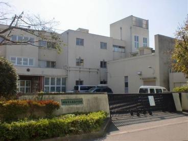 中学校　昭島市立福島中学校（中学校）まで493m