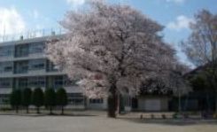 【シャルム東川口伍番館の小学校】