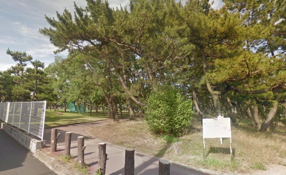 公園　望海浜公園（公園）まで1099m
