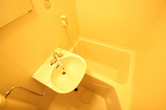 バス・シャワールーム　※別号室の写真です。