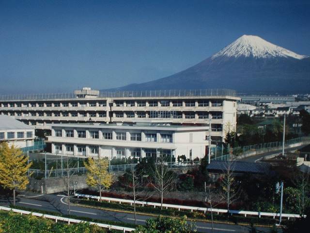 中学校　岳陽中学校（中学校）まで512m