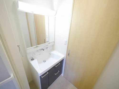 洗面設備　※別号室の写真です。