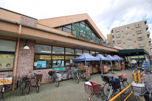 スーパー　ワイズマートディスカ北国分店（スーパー）まで445m