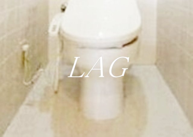 トイレ　トイレです。（同仕様です。）