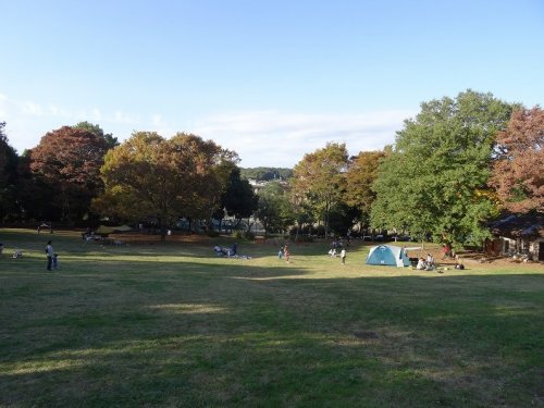 公園　富士見台公園（公園）まで494m