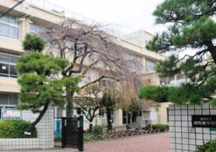 小学校　練馬区立練馬小学校（小学校）まで589m