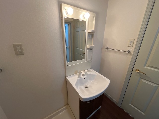 洗面設備　※同タイプの部屋写真です