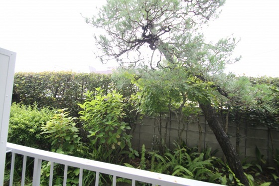 眺望　※別部屋の写真使用