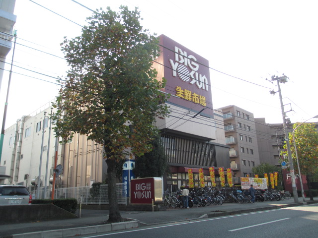 スーパー　ビッグヨーサン綱島樽町店（スーパー）まで800m