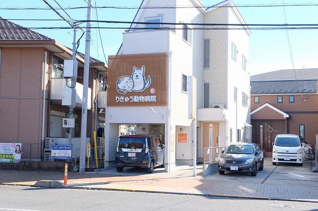 病院　りきゅう動物病院（病院）まで228m