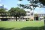 小学校　名古屋市立東桜小学校（小学校）まで602m