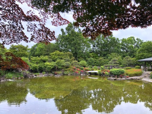 公園　府中の森公園（公園）まで1013m