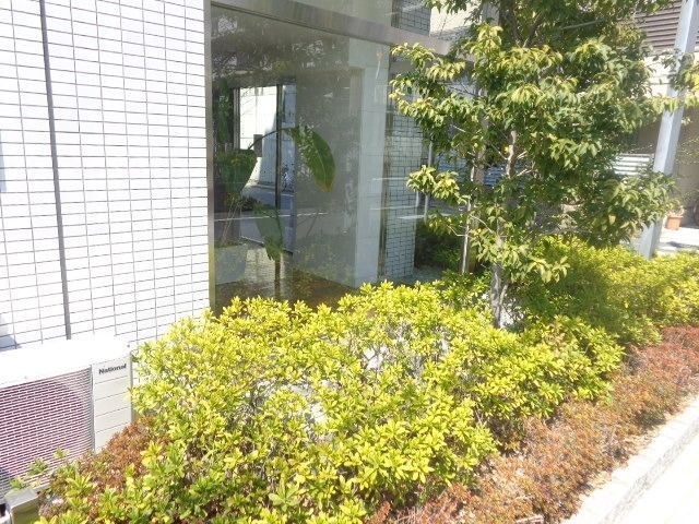庭　植栽