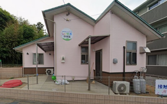 幼稚園・保育園　しいの木保育園（幼稚園・保育園）まで100m
