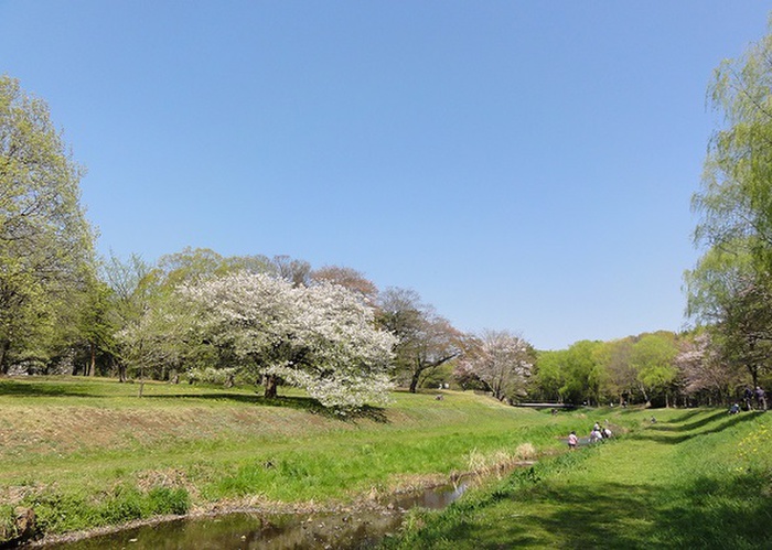公園　都立野川公園（公園）まで700m