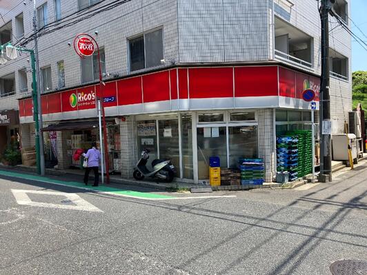スーパー　リコス日吉本町1丁目店（スーパー）まで505m